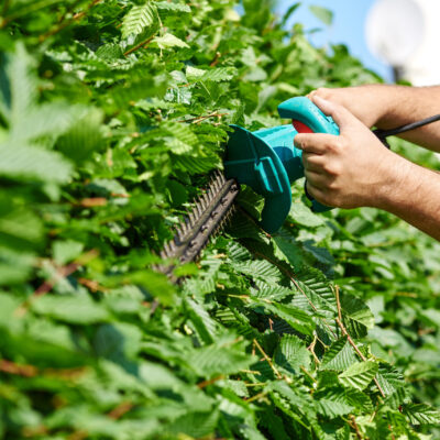 frechen hausmeisterservice koeln gartenarbeit